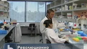 Създадоха изкуствена клетка, носител на генетична информация