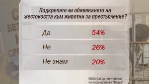 Повечето българи искат строги наказания за насилието над животни