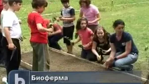 Деца отглеждат зеленчуци в биоферма 