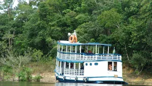 Пътнически кораб потъна в Амазонка
