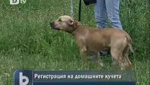 Стопани срещат трудности при регистрация на домашните кучета