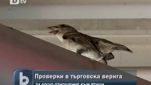 Проверяват верига магазини за жестокост към птиците  