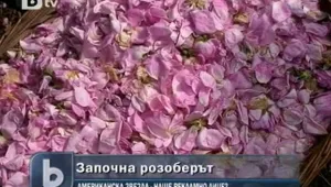 Министър Найденов смята да покани Джесика Симпсън в Розовата долина