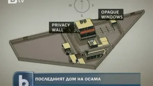 Радост и боязън след смъртта на Осама