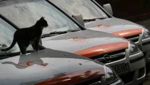 Спешна помощ готви протест 