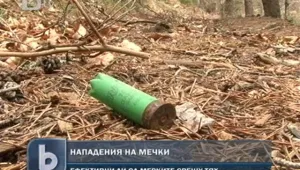 Мечките се събудиха и започнаха да нападат