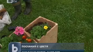 Пръст, цветя и глина заменят код 359