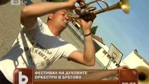 Брегово пее и танцува...