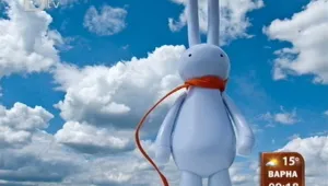 София гледа, слуша и диша... дизайн