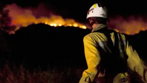 Горските пожари в Аризона безпощадни – унищожиха над 157 000 хектара  