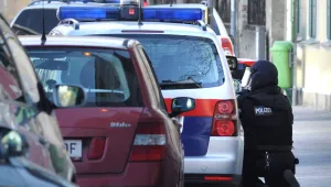 Австрийската полиция разби два бордея