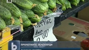 Няма опасност от отровни испански краставици у нас