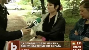 Смрад, мърсотия и кучешки вой изтормозиха цял вход в 