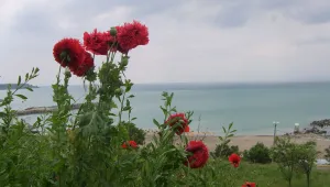 Облачно с краткотрайни валежи в неделя