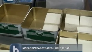 Млекопроизводители алармират за фалити в бранша