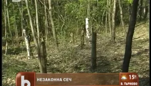 Безнаказана сеч в столичния Западен парк