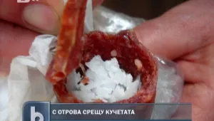 Отрова в салам беше открита в Перник