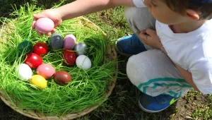 Боядисваме яйца и с оцветители, които причиняват алергични реакции