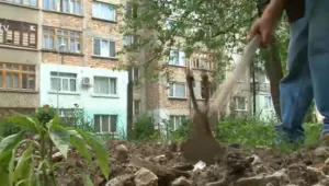 Градинарството процъфтява в междублоковите пространства на Търново