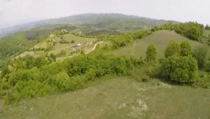 Прокуратурата проверява гори и земи в Белово 