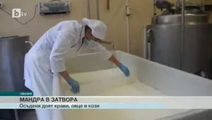 Затворническа мандра в Смолян