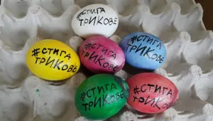 Българите по света искат вето върху промените в Изборния кодекс