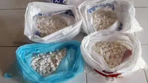 Постоянен арест за двама холандци, арестувани с 16 тона прекурсори за амфетамини