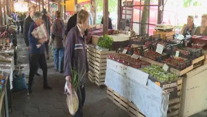 В разгара на сезона цената на черешите не пада под 6 лв./кг