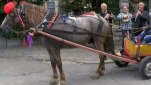 Забраняват каруците в Сливен
