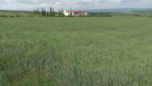 Срещу застрояването по морето: Природозащитници готвят протест заради законови промени