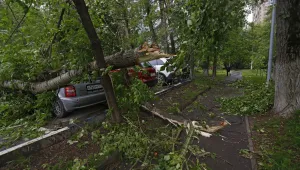 Над 100 души остават в болница след урагана, връхлетял Москва 