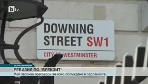 Ревизия по 