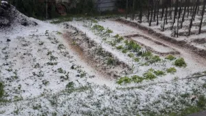 Опустошителна градушка в град Антоново днес