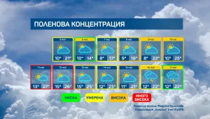 Хората, алергични към полени, трябва да се пазят от неокосени треви