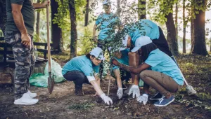 Пакистан бори безработицата, наемайки хора да садят дървета