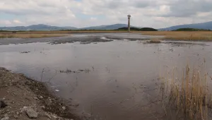 Проверки в 