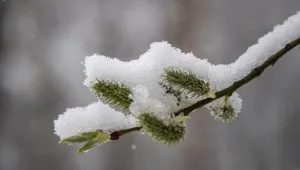 Вижте кога ще вали сняг у нас