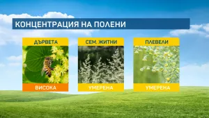 Дъждовете ще са в помощ на алергичните към полени и тази седмица