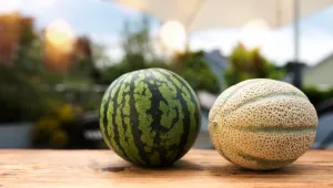 Италиански курорт забрани продажбата на дини и пъпеши