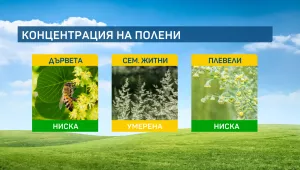 Дъждовете в Западна България ще продължат да помагат на алергичните към полени