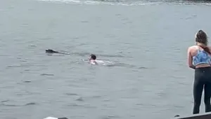 Мъж скочи в студените води на река Хъдсън, за да спаси питбул (ВИДЕО)