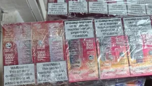 Митничари откриха електронни цигари, укрити във възглавници в автобус (ВИДЕО)