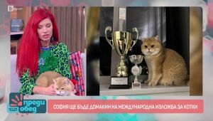 Преди обед - 13.05.2025