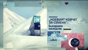 bTV Репортерите - 31.05.2025 г. 	