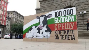 Хора в клетки протестират пред парламента