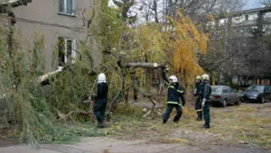 Вятърът събори билборд и дърво в столицата