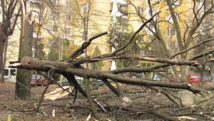 Повишена тревога в страната заради бурните ветрове 