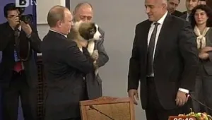 Руснаци предлагат Путин да кръсти новото си куче Газпром и Слънчев бряг