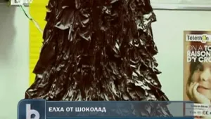 6-метрова елха или елха от шоколад