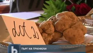 Трюфели се продаваха на благотворителен търг 